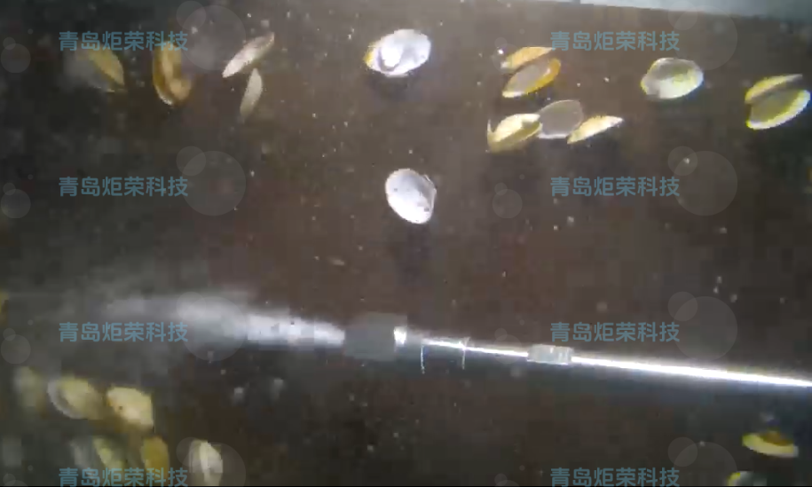 高压清洗机,进口高压清洗机,高压清洗机价格,超高压清洗机